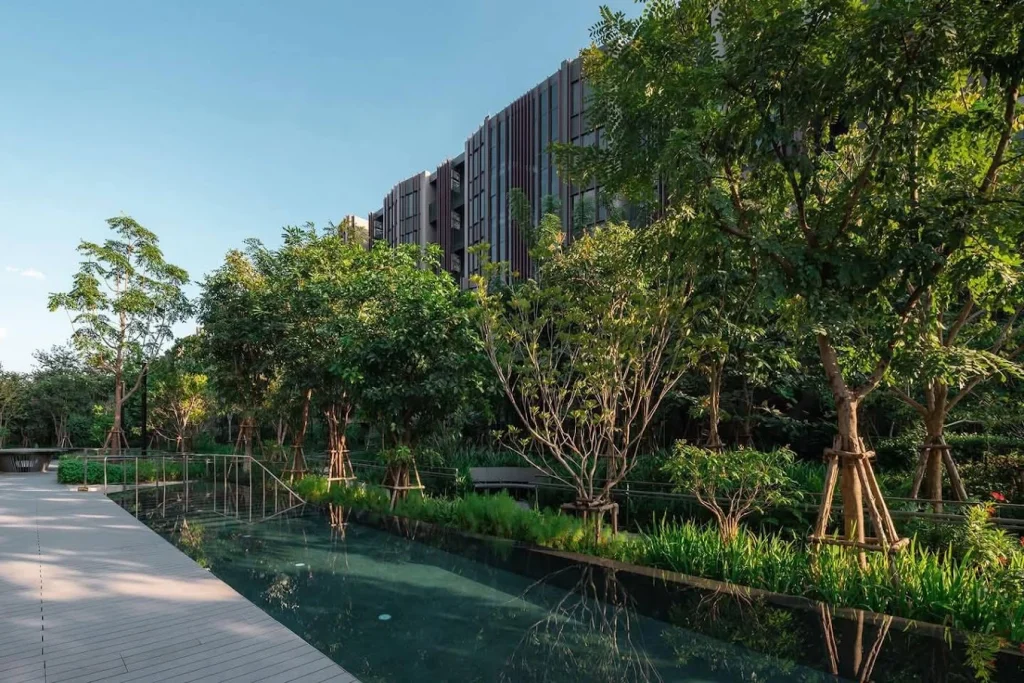 ศูนย์ฟื้นฟูผู้ป่วย stroke ระดับพรีเมียม แสนปิติ สาขา Jin Wellbeing รังสิต